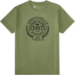 Aeropostale Laurel Circle Flocked Graphic Tee