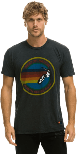AVIATOR NATION NORTH SHORE TEE - CHARCOAL