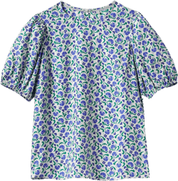 Adriana Puff Sleeve Top-Bluebell, Delicate Bud