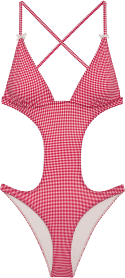 Cruise Monokini One Piece Swimsuit - Ladybug Gingham