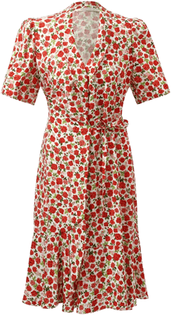 Rose Print Wrapped Ruffle Women Mini Dress
