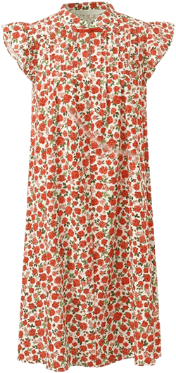 Rose Print Ruffle Sleeves Mandarin Collared Women Mini Dress