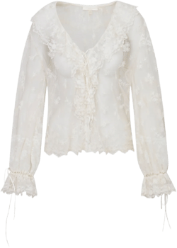Aubrenna Lace Mesh Blouse