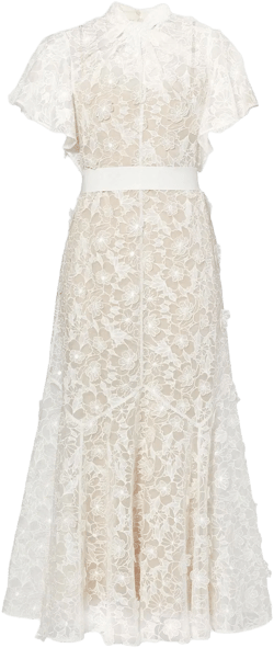 Celestina cutwork-organza dress