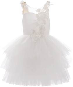 Carnelian embroidered-design dress