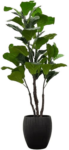 Artificial Fiddle Tree in Wooden Pot, 48"