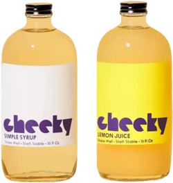 Cheeky Cocktails Tom Collins Set - 16oz