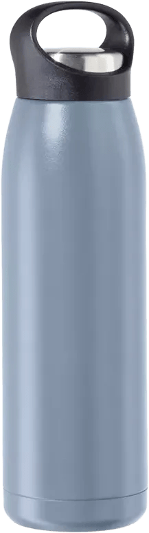 Freestyle 23oz Stainless Steel Insulated Water Bottle