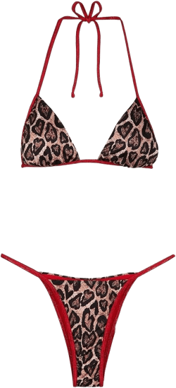 leopard-print bikini
