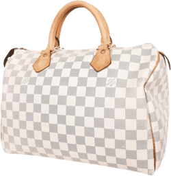 Speedy leather tote