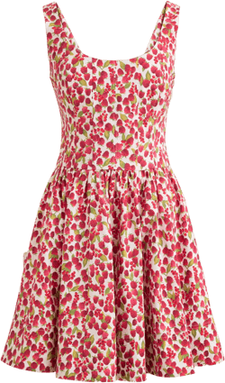 Fit-and-flare mini dress in raspberry print
