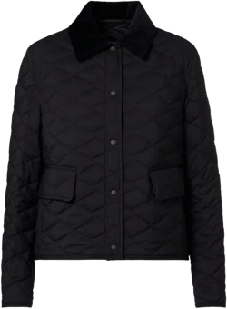 Citno Quilted Down Jacket In Black