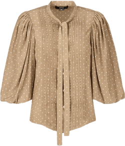 Pleated Tie Neck Blouse