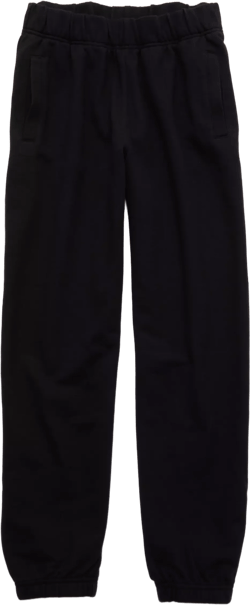 Aerie Jet Setter Jogger