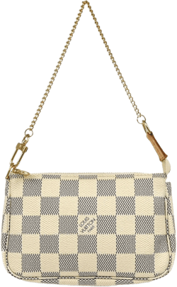 2008 mini Pochette Accessoires clutch bag