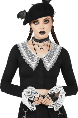 Just My Type Lace Collared Top