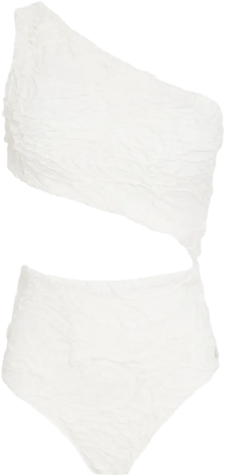 Gina swimsuit