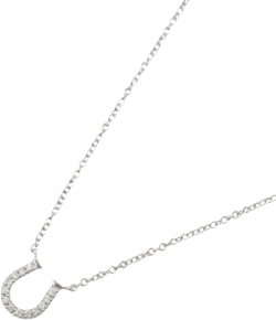 2010 Horseshoe diamond necklace