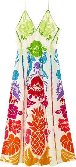 Tropical Graphic Maxi Dress