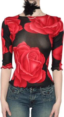 Rose Graphic Mesh Top (Medium)