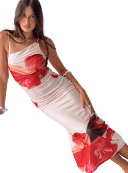 Simeon Maxi Dress Floral Multi