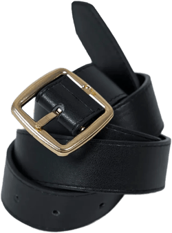 Chapman Belt Black / Gold