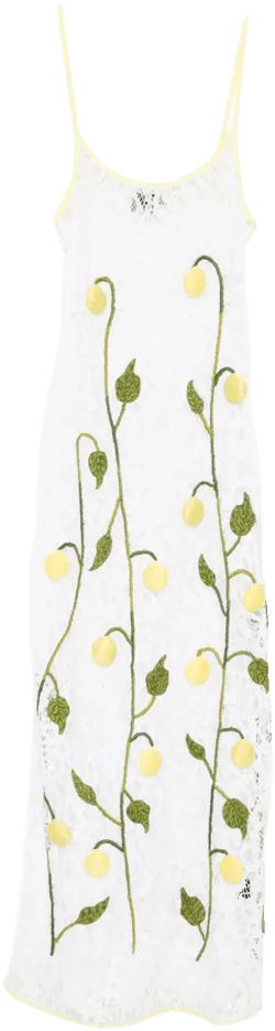 under the lemon tree dress