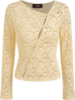 Lace Asymmetrical Neck Floral See-through Top