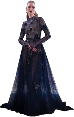 Navy Rice Plume Embroidery Tulle Gown With Pleated Skirt