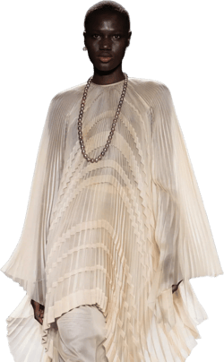 Skin Organza Plisse Tunic Top