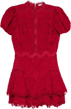 Loryn embroidered mini shirt dress