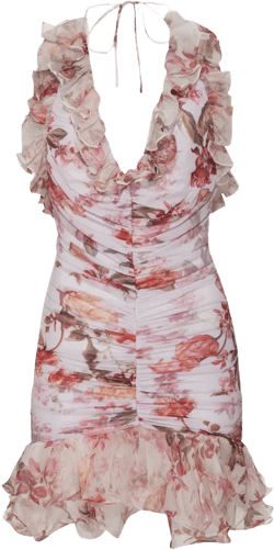 Floral Haze Stretch Tulle Sleeveless Mini Dress