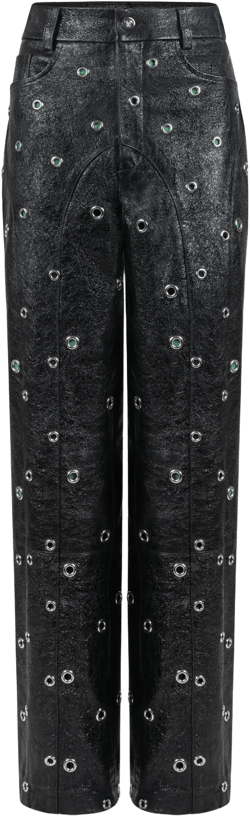 Leather Grommet Pant