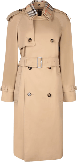 Beige Double-breasted Trench Coat With Matching Belt In Cotton Woman In Brown