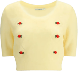 rose-embellished mohair top