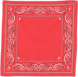 paisley-print bandana