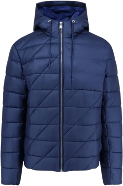 Calleas Down Jacket With Hood