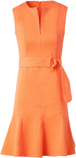 Godet Hem Belted Cotton Denim Dress