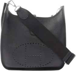 2024 Evelyn Troyes PM shoulder bag