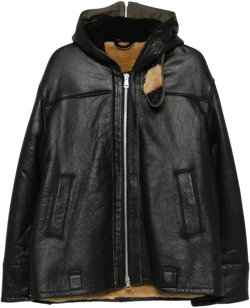 Blizzard hooded leather jacket
