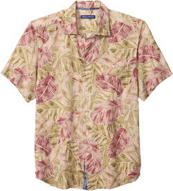 Men's Villa Nueva V Line Shirt