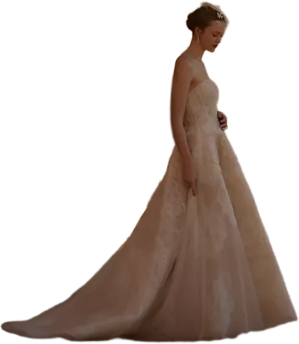 Watters Ilene Strapless A-Line Lace Wedding Dress