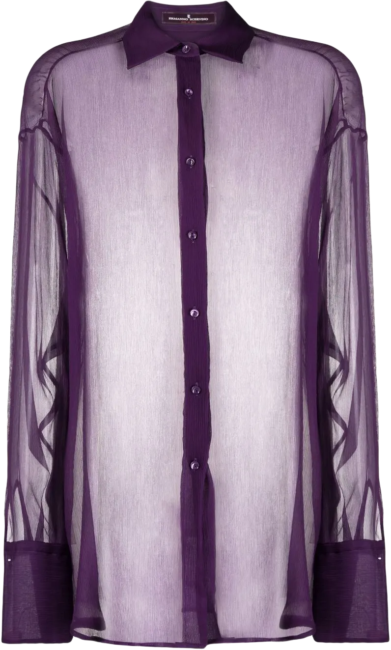 sheer silk blouse