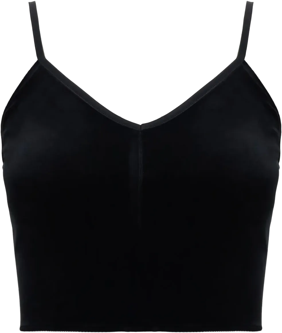 velvet cropped top