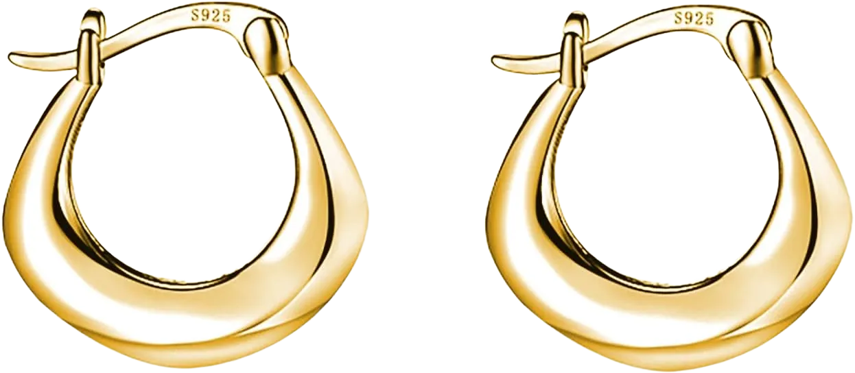 Reffeer 925 Sterling Silver Chunky Hoop Earrings for Women Teens Thick Hoop Earrings Minimalist Huggie Earrings Hypoallergenic