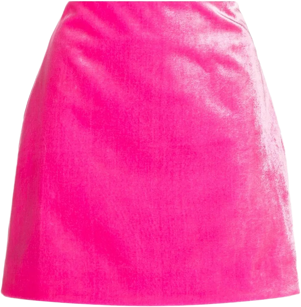Vevlvet A-line mini skirt