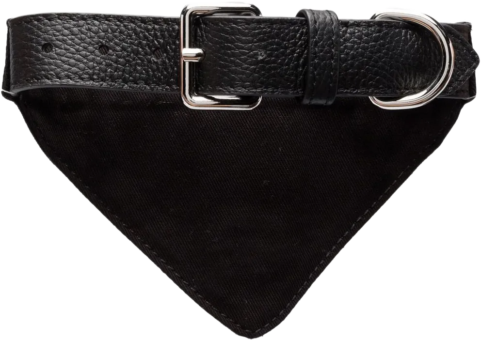 logo-print bandana pet collar