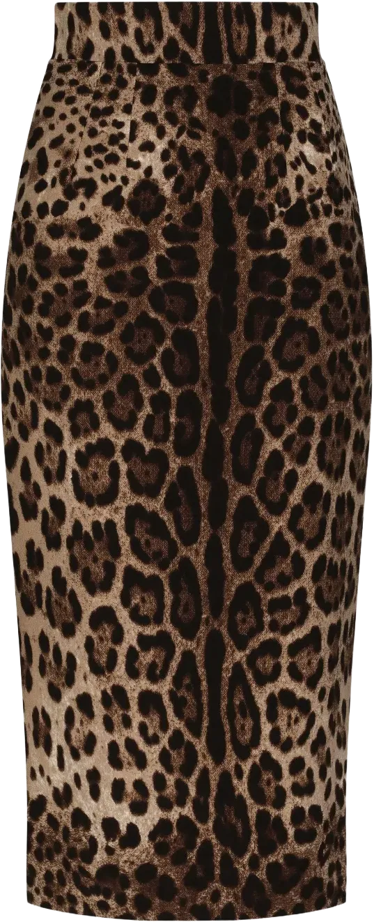 leopard-print midi skirt