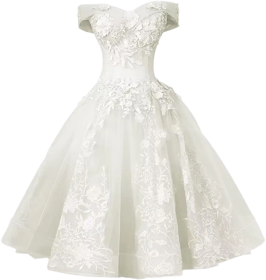 Women's Tulle Lace Appliques Prom Dress Off The Shoulder Mini Dress Short Dresses Cocktail Dresses for Teens 10 Ivory