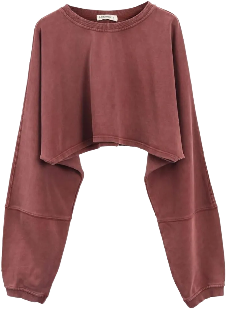Amazhiyu Womens Washed High Cropped Sweatshirt Pullover Crew Neck Fall Crop Top X-Large Dusty Rose